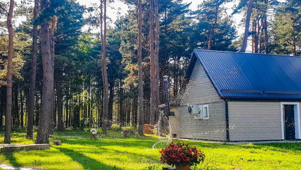 Guest House Saulgriezes Nīca エクステリア 写真