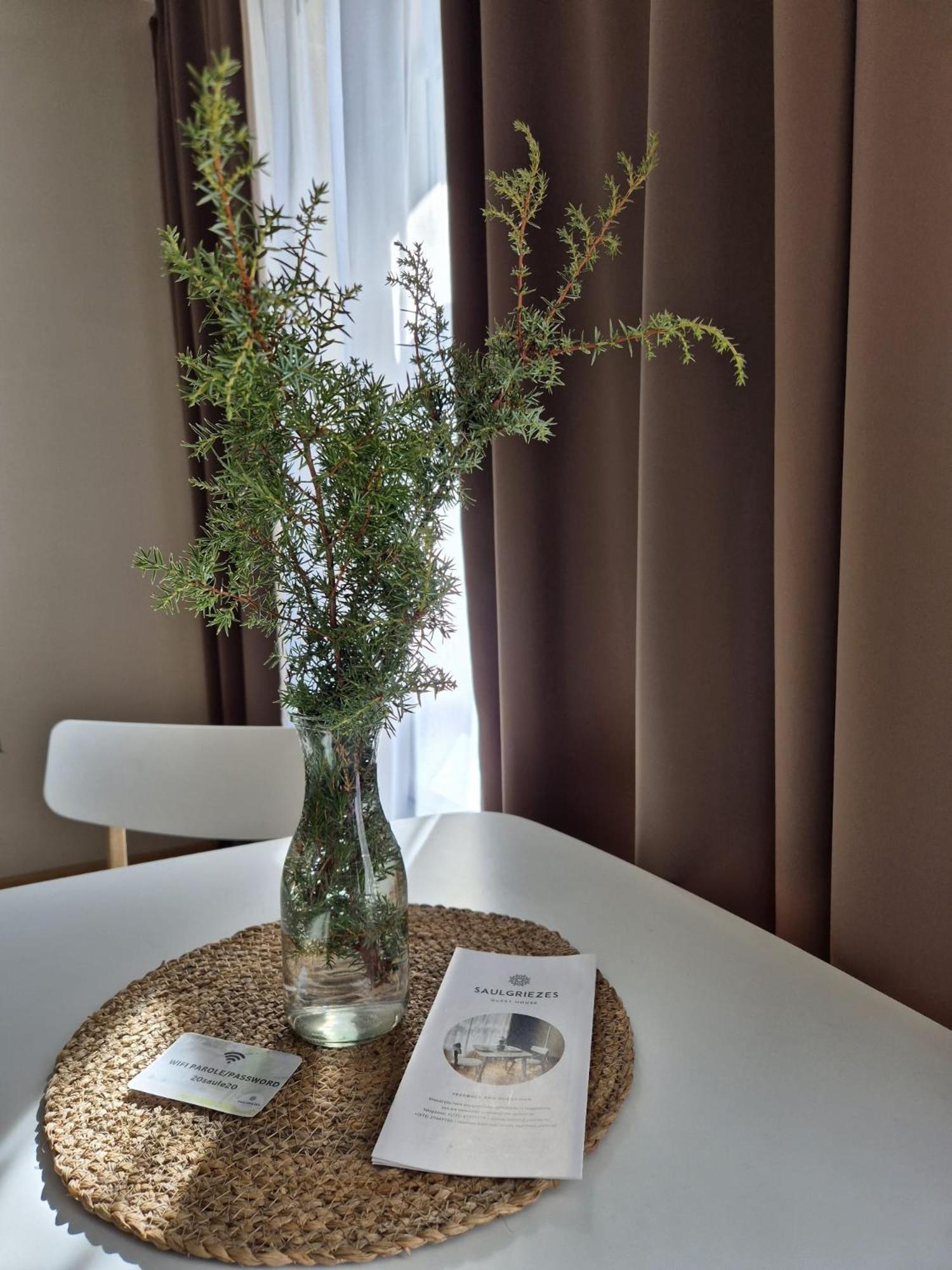 Guest House Saulgriezes Nīca エクステリア 写真